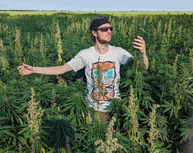 The author standing in a hemp field.