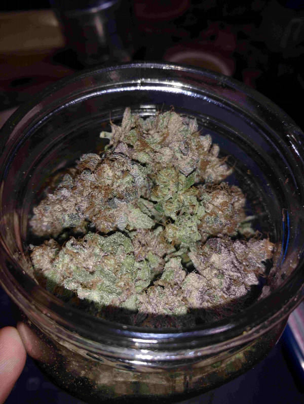 An open jar of cannabis.