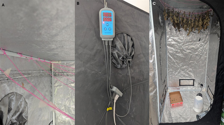 Left: String attached to the frame of the drying tent, Middle: Humidity controller with exhaust and humidifier plugged in, Right: Cannabis hanging in drying tent