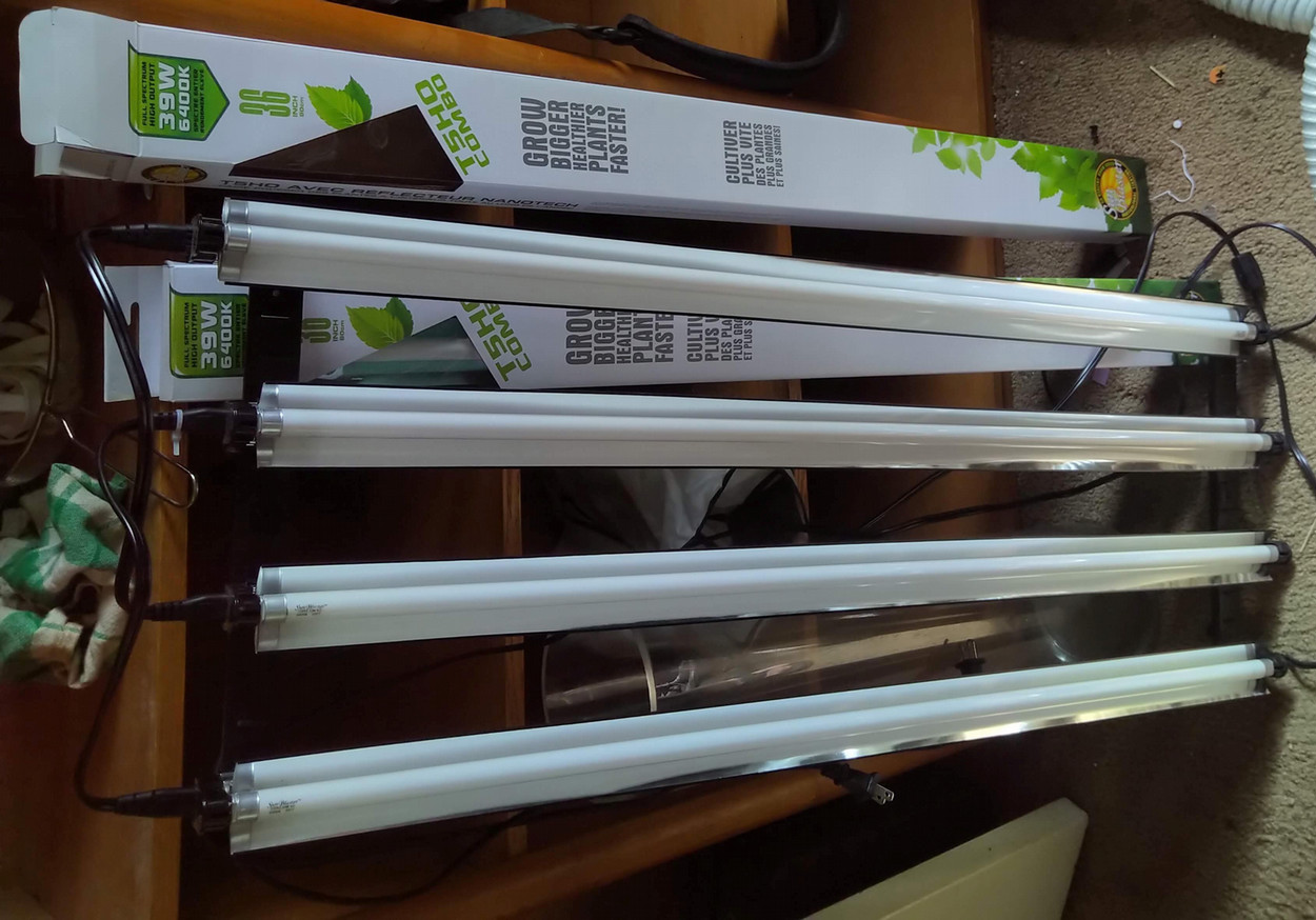 Fluorescent bar lights.