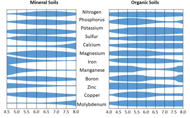 A chart showing nutrient availability with respect to pH.