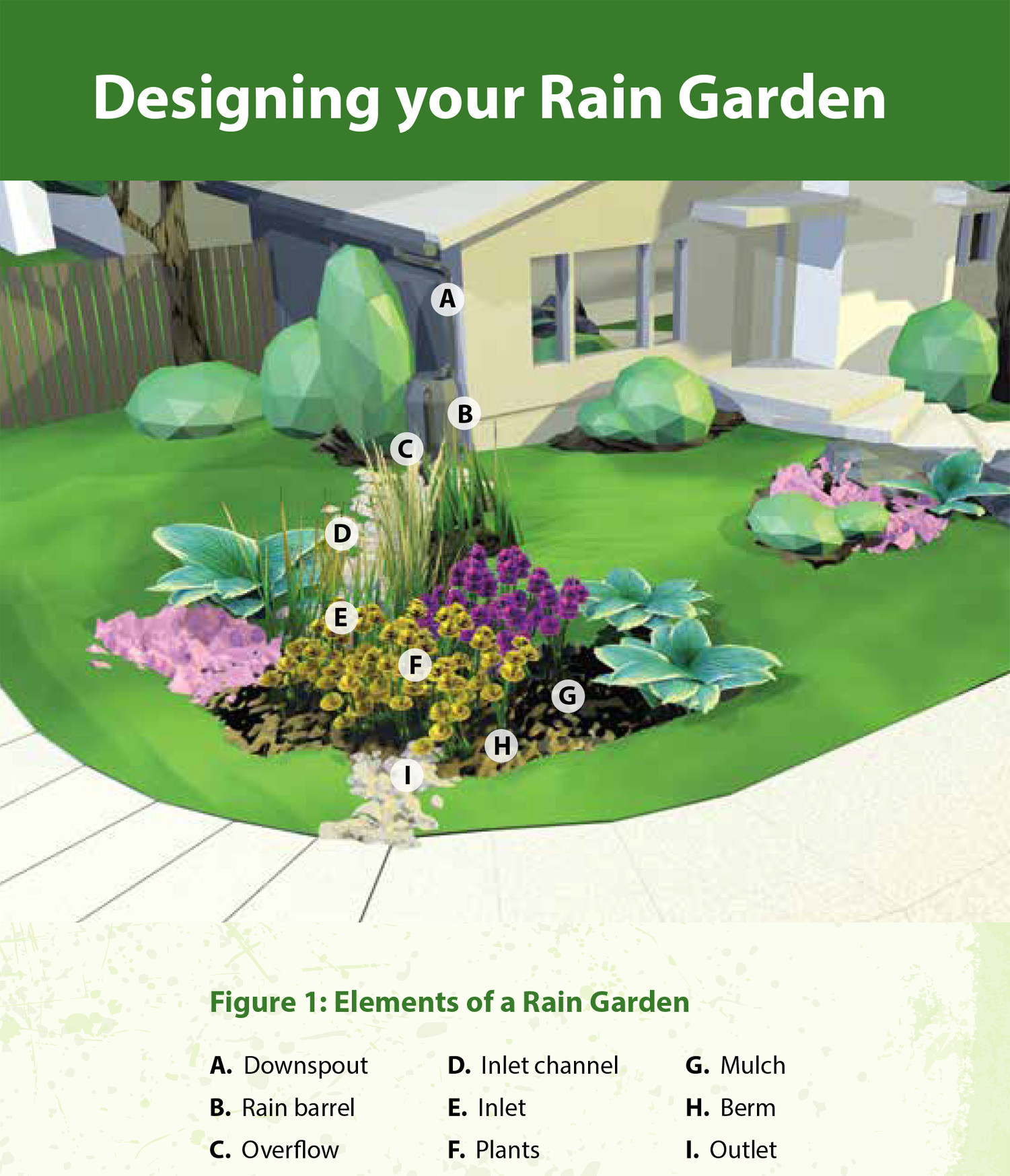 Rain gardens: a how to guide for a Healthy Yard - Gardening at USask -  College of Agriculture and Bioresources