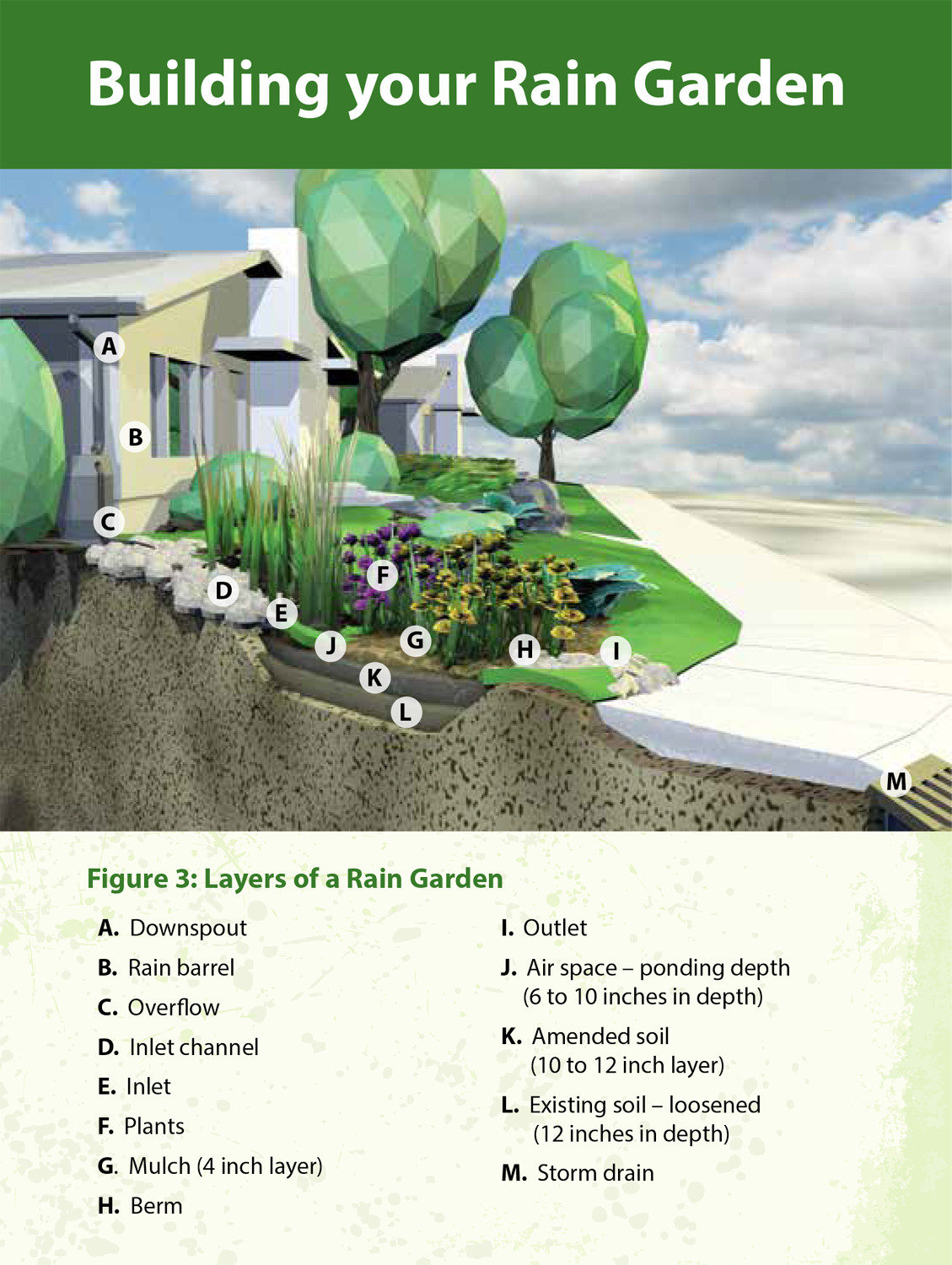 FAQs • What is a rain garden?