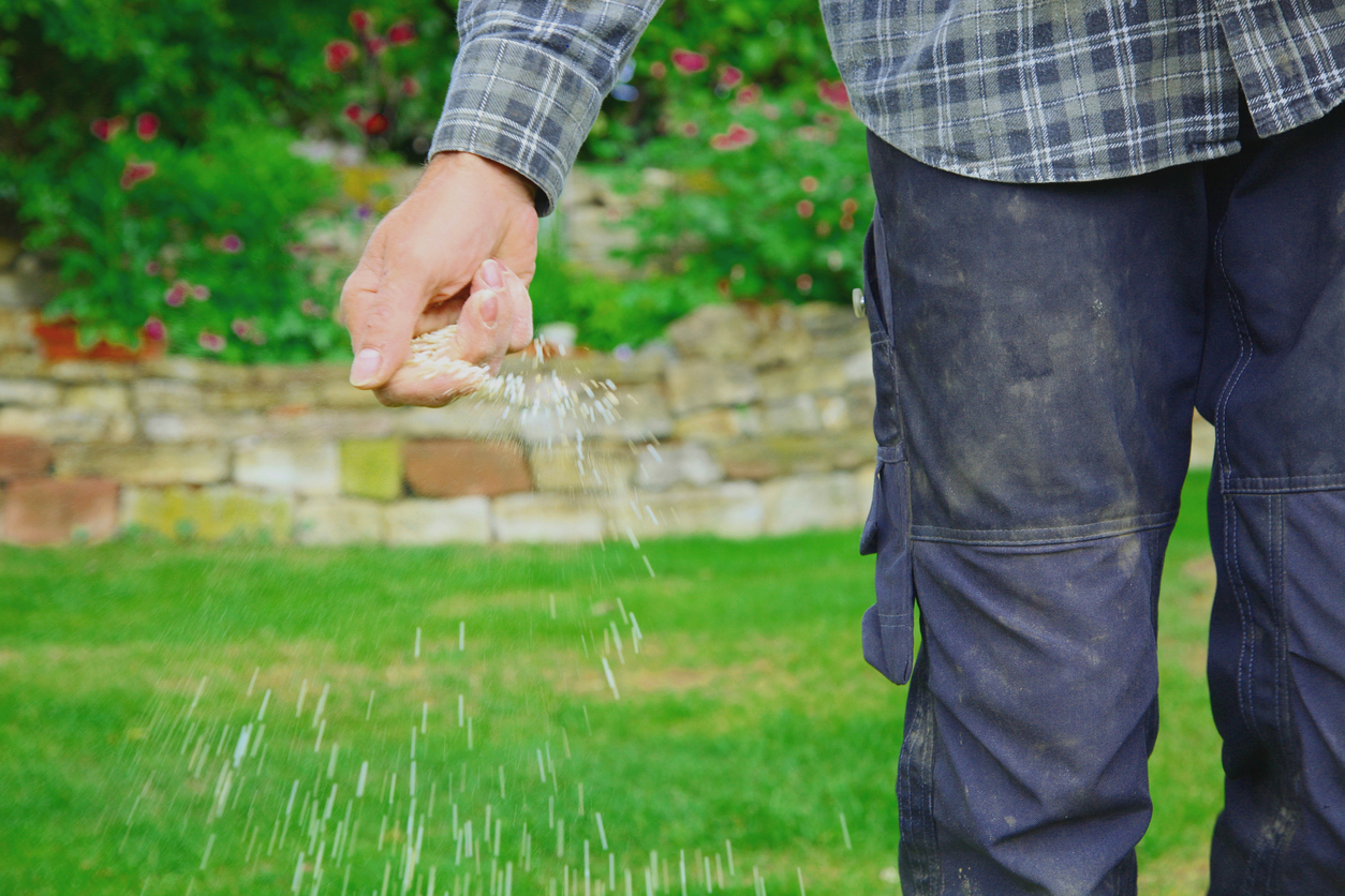 hand broadcast fertilizer