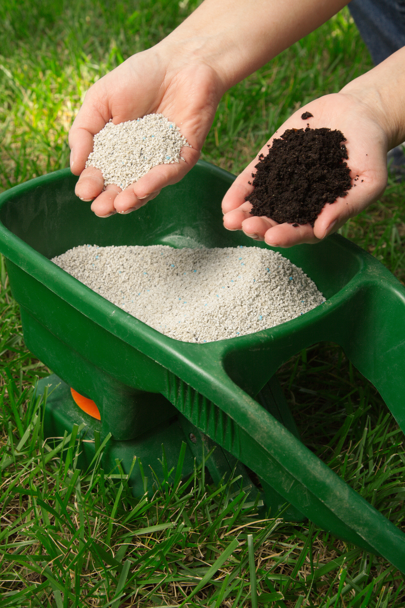 Organic Vs Inorganic Fertilizers Gardening At USask College Of 