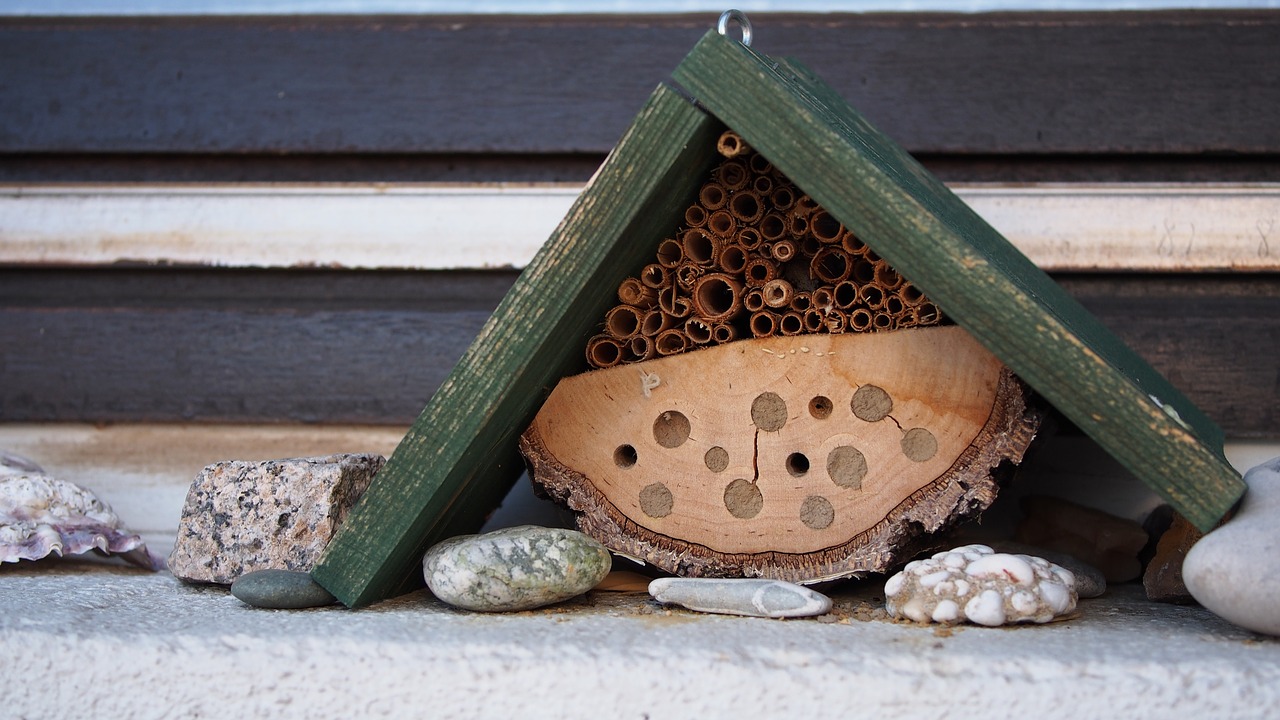 A well placed, well constructed bee hotel is helpful only when it's well maintained
