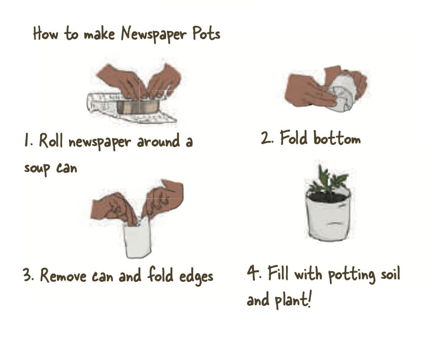 little-green-thumbs-indoor-growing-paper-pots.jpg