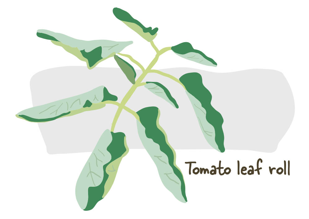 little-green-thumbs-indoor-growing-troubleshooting.jpg