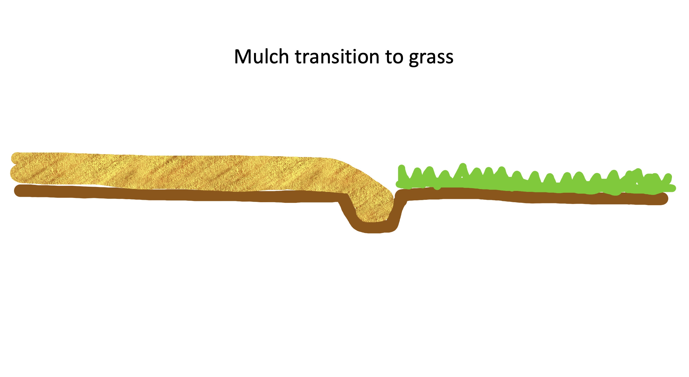 https://gardening.usask.ca/images/mulches/mulch-transition-to-grass.jpeg