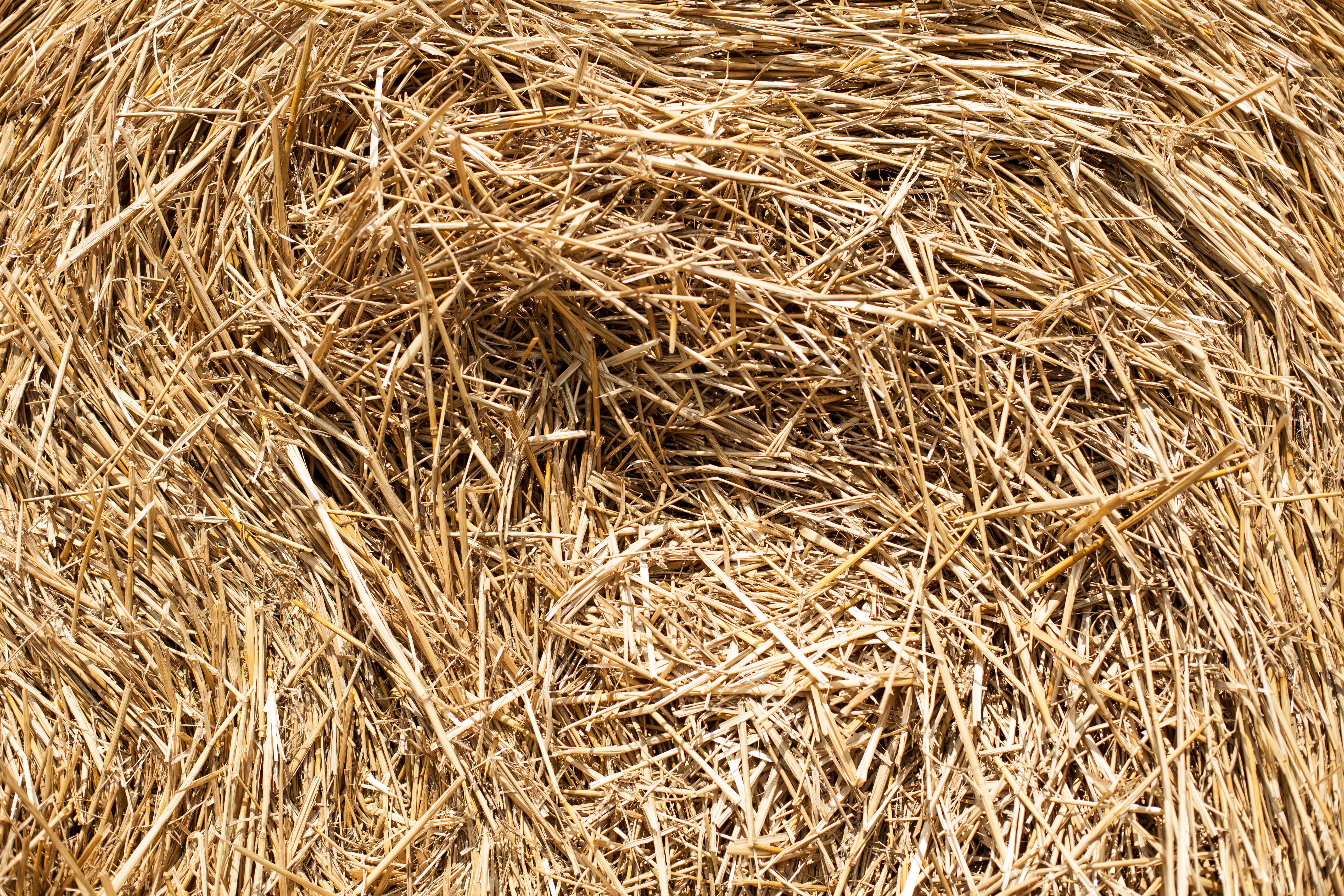 Large compost bins - Gardening at USask - College of Agriculture and  Bioresources