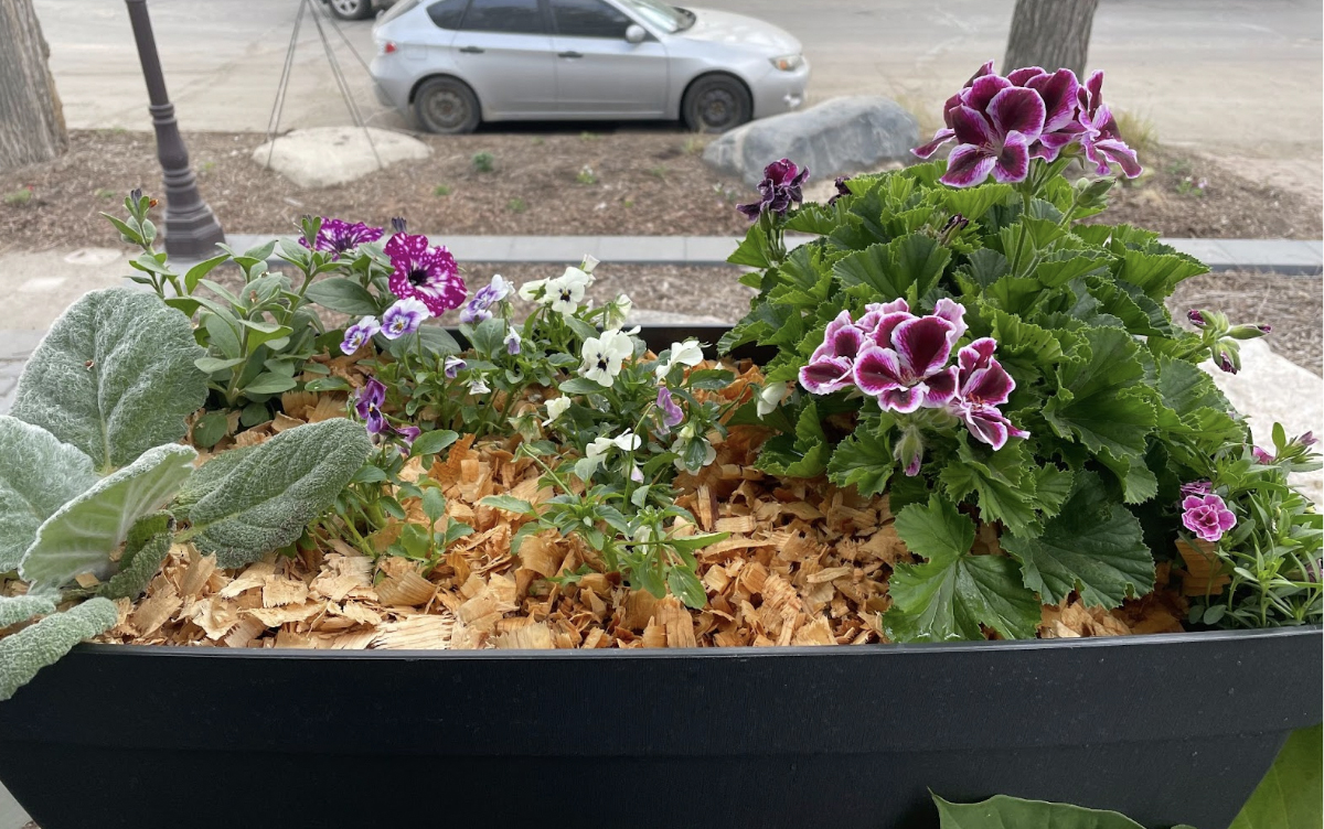Even containers can be mulched to experience the same benefits as a larger garden.