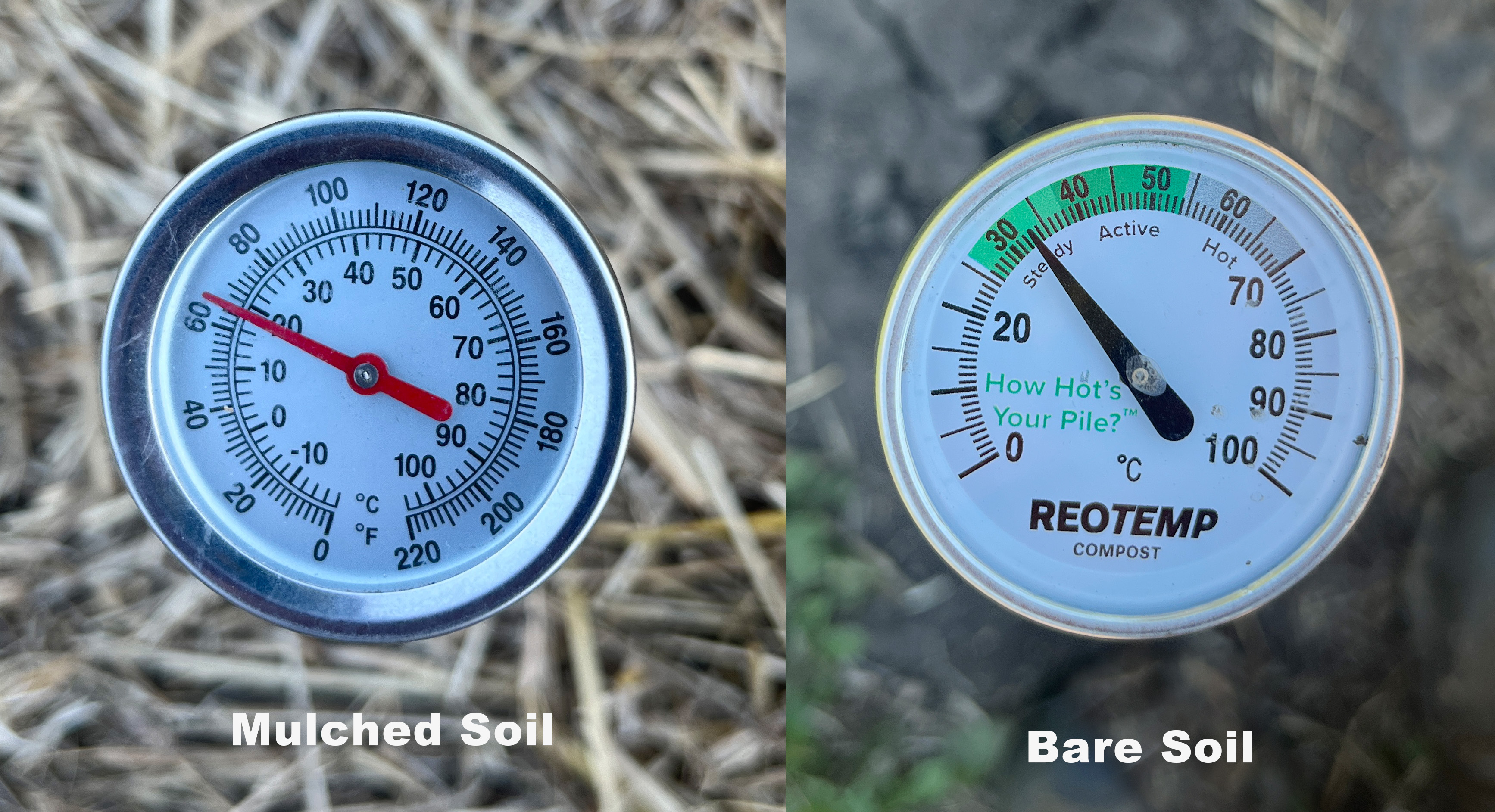 Soil temperatures in mulched and non-mulched soil. The soil without mulch is grows much hotter in the heat of the day.