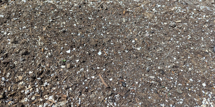 A close up of a peat-based potting soil